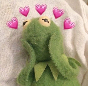 Meet your Posher, Ava